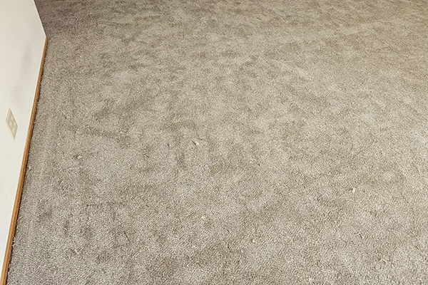 Carpet Installation