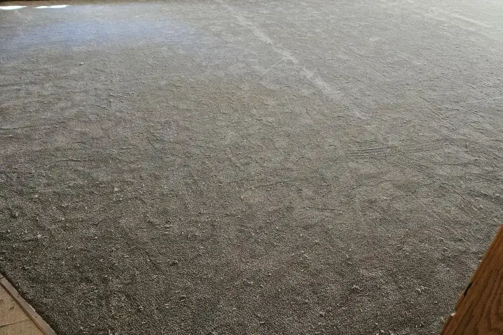 Commercial Carpet Floor